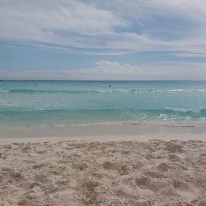 Meet your Posher, Aline